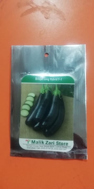 F-1%20Hybrid%20Brinjal%20long%20begun%20vegetable%20seed%20kitchen%20gardening%20-%20Image%204