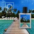 Serene Perfume for Men by Sesky - Our Impression of Terre D Hermes. 