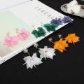 Kaytlins Flowers Petals Style Drop Earrings For Women -  New Arrivals. 