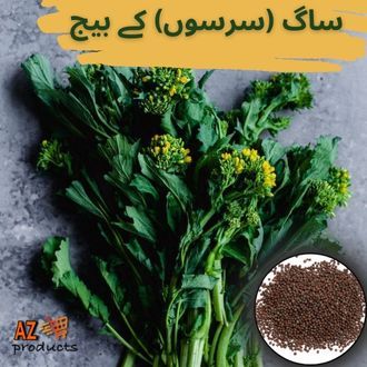 Mustard%20Seeds%20Sarsu/Serson/srson%20Saag%20seeds/beej%20(%20%D8%B3%D8%A7%DA%AF(%D8%B3%D8%B1%D8%B3%D9%88%DA%BA)%20%DA%A9%DB%92%20%D8%A8%DB%8C%D8%AC)Desi/Germinated/Best%20Quality/Fast%20growing/Excellent%20Germination/High%20Quality/Healthy%20Vegetable%20Seeds/Vegetable/Home/Kitchen/Gardening%20seeds/beej/Vegetables%20Seeds%20Packet%20-%20Image%202