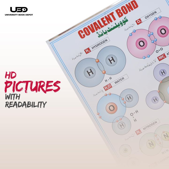Covalent%20Bond%20Presentation%20on%20Wall%20Charts%20%7C%20Chemistry%20Wall%20Chart%20for%20School%20and%20College%20Decoration%20on%20200%20grams%20Laminated%20Card%2023*36%20-%20Image%207