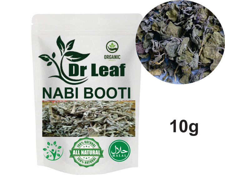 NABI BOOTI 10G
