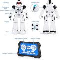 ARANEE RC Robot Toy for Kids, Intelligent Programmable Robot with Infrared Controller Toys, Dancing, Singing, Led Eyes, Gesture Sensing Robot for Kids (Black) UK IMPORT. 