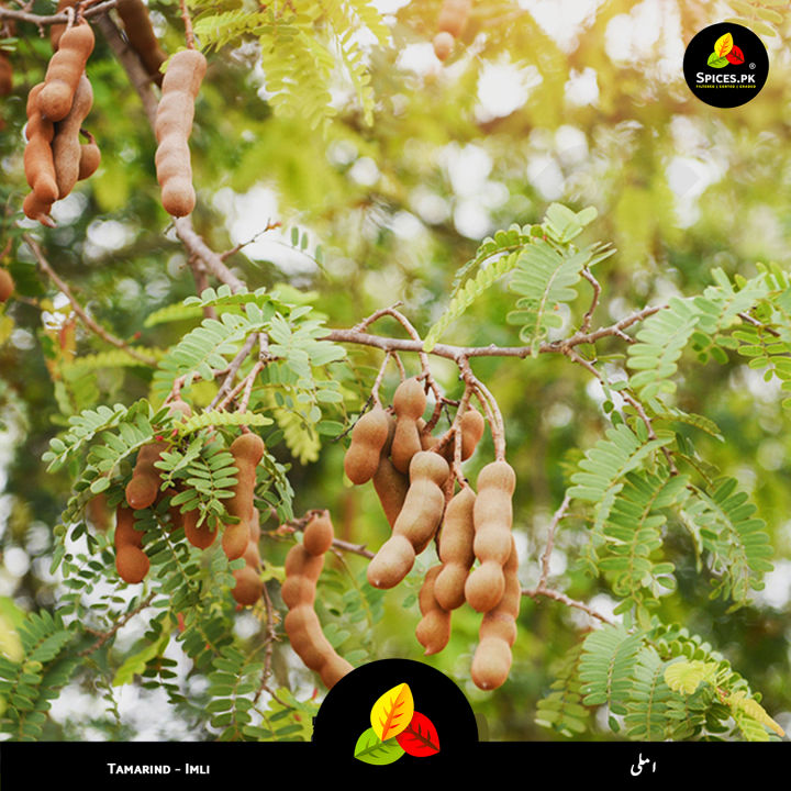 Premium%20Organic%20Tamarind%20(Imli)%20%E2%80%93%20100%25%20Pure%20Whole%20Dried%20Tamarind%20for%20Chutneys,%20Curries%20&%20Tangy%20Cooking%20%E2%80%93%20200g%20-%20Image%207