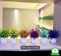 Pack of 6 Mini Plant Artificial Decoration Piece with pot Best for home & Office Decoration purpose. 