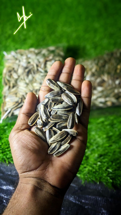 Organic%20Sunflower%20Seed%20(100%20Grams)%20Fresh%20and%20Pure%20Sunflower%20/%20Soraj%20Makhi%20Ke%20Beej%20Best%20In%20Taste%20Buy%20Now%20-%20Image%206
