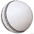 Indoor Rubber Cricket Ball. 
