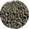 Lady finger/okra Seeds  (bhindi tori K Beej)(بھنڈی توری کے بیج)Hybrid/Germinated/Best Quality/Fast growing/Excellent Germination/High Quality/Healthy Vegetable Seeds/Vegetable/Home/Kitchen/Gardening seeds/beej/Vegetables Seeds Packet. 