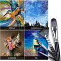 Artist Paint Brush Set 17 with Zipper Carry Case Black (15 Pcs+1 x Knife+1 x Sponge)(Nylon Bristles and wood). 