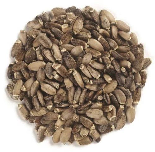 MILK THISTLE SEEDS WHOLE|1:KG