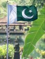 Pakistani Flag Pakistan independence day Flag medium size flag. 
