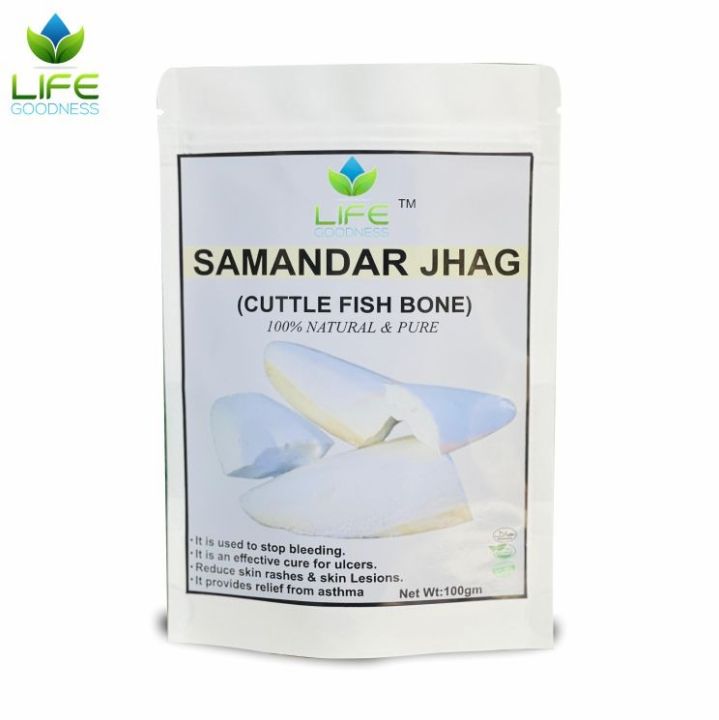 Samandar Jhag | Seafoam Samundar Fan | 100 % Pure organic CuttleFish