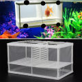 Breeding Fish Tank Incubator Box Two Compartments Aquarium Accessory. 