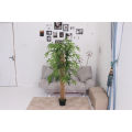Imported artificial Bamboo Plant with black Planter. 