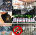 120x28cm ] Effective Rat Killer Glue Mat, Lizards, Snakes & Cockroach killer Glue Mats, Mouse And mice Trap Blanket, And Sticky Rodent Catcher Sheet - Pest Control Solutions. 