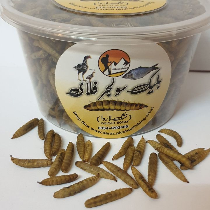 Bsf%20Dry%20Meal%20Worms%20-%20Image%202