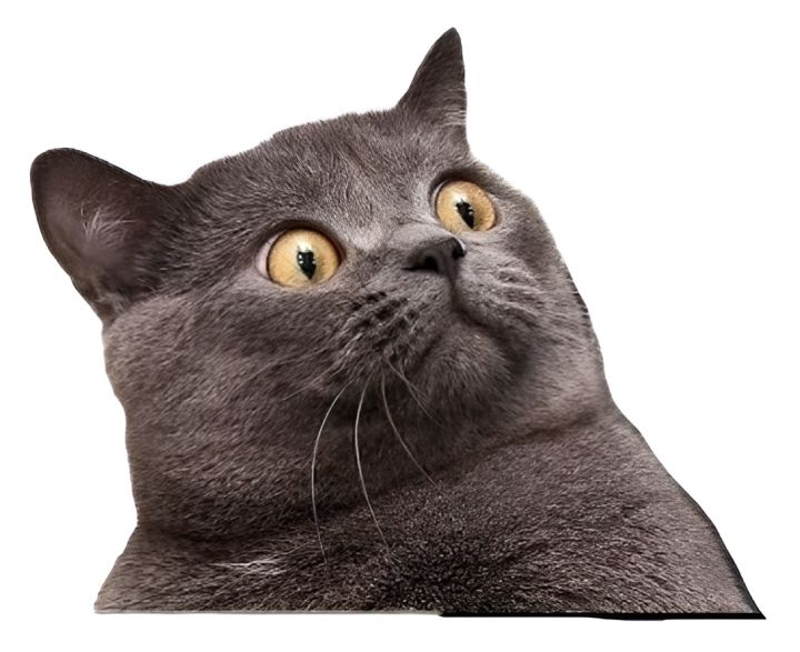 Funny%20Cat%20Meme%20Stickers%20Pack,%20Digital%20Funny%20Cat%20Memes,%20Viral%20Funny%20Cats,%20Laptop%20Stickers,%20Mobile%20Stickers,%20Decals.%20Phone%20Stickers%20-%20Image%202