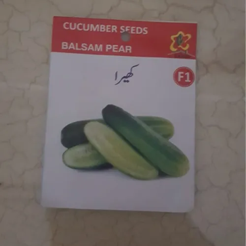 Cucumber%20(khera)%20Vegetables%20Seeds%20-%20Seeds%20Vegetables%20Packet%20-%20Excellent%20Germination%20-%20Healthy%20Vegetable%20-%20Image%203