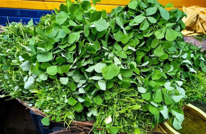 %C3%99%E2%80%9A%C3%98%C2%B5%C3%99%CB%86%C3%98%C2%B1%C3%9B%C5%92%20%C3%99%E2%80%A6%C3%9B%C5%92%C3%98%C2%AA%C3%9A%C2%BE%C3%9B%C5%92%20%C3%9A%C2%A9%C3%9B%E2%80%99%20%C3%98%C2%AF%C3%9B%C5%92%C3%98%C2%B3%C3%9B%C5%92%20%C3%98%C2%A8%C3%9B%C5%92%C3%98%C2%AC%20-%20Image%203