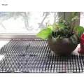 Anti Cat Cat Protective with Spikes 13.4x16.5inch Lightweight Durable Indoor and Outdoor for Stopping Dog Digging. 