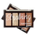 Highlighter and Contour Kit [4 in 1] - Branded - Strobing Professional Blusher Iluminador  Makeup Kit  Powder Sculpting Palette by Luisance. 