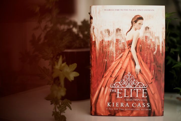 The%20Elite%20Novel%20by%20Kiera%20Cass%20%7C%20The%20Selection%20#%202%20-%20Image%204