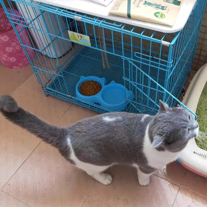 Cat%20Shaped%20Double%20food%20bowl%20Pet%20Plastic%20food%20bowl%20Foodie%20Puppies%20Non-Slip,%20Non-Toxic%20Pet%20Feeding%20Plastic%20Cat%20Face%20Shaped%20Double%20Bowl%20Food%20&%20Water%20Feeder%202-in-1%20Bowl%20for%20Dogs,%20Puppies,%20Cats%20&%20Kittens%20-%20Multi%20Colour%20-%20Image%203