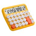 Mechanical Switch Calculator Aesthetic Calculator Cute 12 Digit Large Lcd Display Big Button Desk Calculator Colored Handheld Calculator for Everyday Life and Basic Office (Blue, Pink) - 1 Piece. 