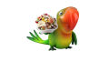 Parrot Food - Fruits Mix Food For African Grey, Paharri, Ring Neck, Macaw and Cockatoo Parrots - Imported Parrot Food. 