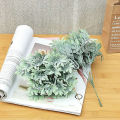 Plant No Watering False Cottonrose Hibiscus Leaf Green Plant. 