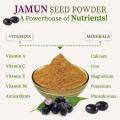 Jamun seed Powder – 100 gm - Purifies Blood, Anti-Diabetic, Heart Healthy & Rich In Vitamins. 