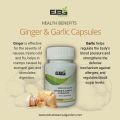 Ginger & Garlic Pills (90-Count) Dried Ginger Powder & Dried Garlic Powder. 