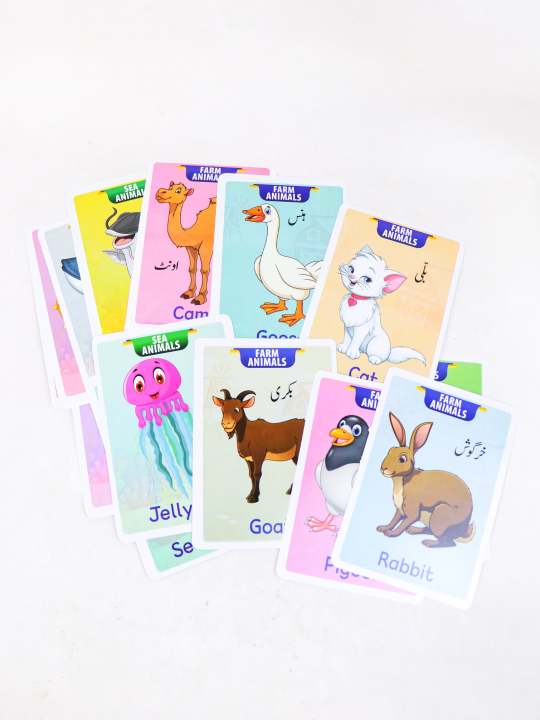 Learning%20and%20Educational%20Big%20Size%20Flash%20Cards%20with%20Tracing%20and%20for%20Kids%20-%20Image%204