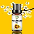 Witch Hazel Oil Pure and Organic. 