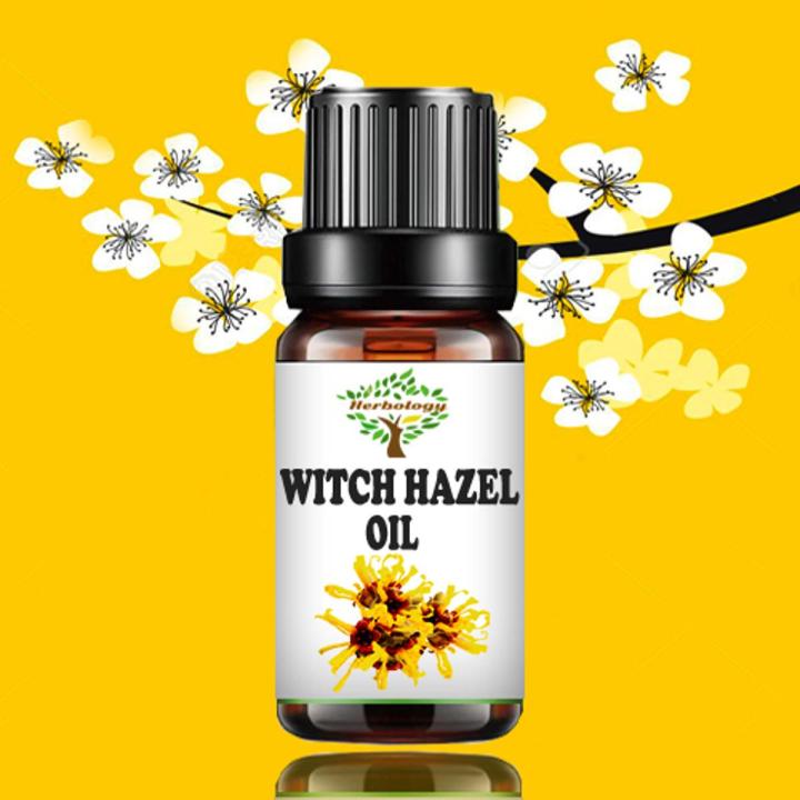 Witch Hazel Oil Pure and Organic