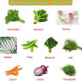Winter Vegetables Seeds (Pack Of 10) Seeds Vegetables Packet - Excellent Germination - Healthy Vegetable. 