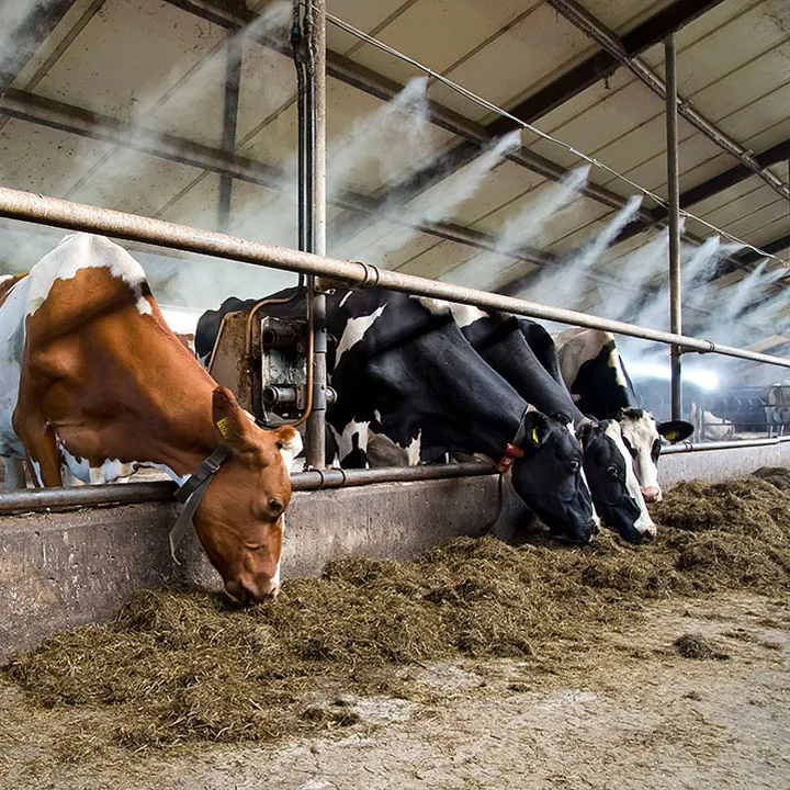 Mist%20System%20for%20Dairy%20Farm,%20Poultry%20Farm,%20Restaurant%20or%20Home%20Mist%20Humidity%20Control%20System,%20Bird%20Misting%20System%20Single%20Pump%20Steel%20Nozzle%20-%20Image%204