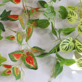 Vine Leaf Decor Fresh Looking Decorative Ivy Green Vine Decor. 
