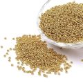 Small Round Golden Glass Seed Beads DIY Jewelry Making Craft Metallic Golden Gold Beads 2mm Glass Loose Spacer Beads Necklace. 