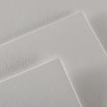 Canson Sketch book Sheets for Drawing, Painting, sketching and more, Size A3 20 sheets pack. 