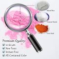 Pink Mica Powder, 100 Gram Box of True Cosmetic Grade Mica with Pearlescent Effect, 100% Pure for Artists Working in Resin Art, Epoxy, Concrete, Soaps, Candle, Cosmetics. 