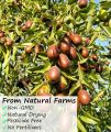 Premium Jujube Red Dates ,Selected Dried Fruit,Big & Delicious,100% Natural 1kg. 
