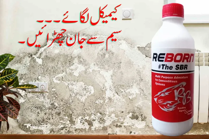 REBORN%20The%20SBR%20Multipurpose%20Admixture%20for%20Cementitious%20System%20%E2%80%93%20Binding%20Agent%20&%20Water%20Proofer%20%E2%80%93%201%20Kg%20-%20Image%202