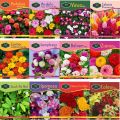 Pack of 5 Random Summer Flowers Seeds.. 