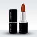 Christine Princess Lipstick - Shade 136. 