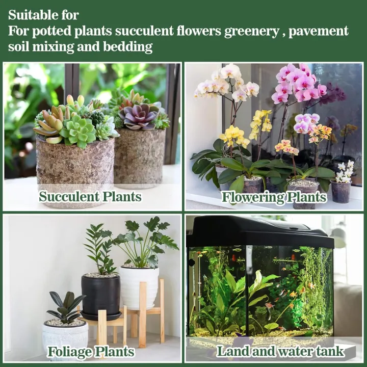 Pumice%20stone%202mm-6mm%20washed%20for%20cactus%20-%20Succulent%20-%20Bonsai%20and%20Plants%20Soil%20Mix%20-%20Image%203