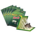 Rat Trap Book (Pack of 5 Pcs.) | Choha Pakarnay ki Kitab | Glue Book For Rat | Stick Book for Mouse| Easy to use Rat Trap Book| Cockroach Lizard Insects Glue Book for Trap. 