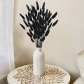 100pcs Natural Black Bunny Tails Dried Flowers Farmhouse Flower Arrangements,Lagurus Ovatus,Pampas Grass Decor for Wedding Craft. 