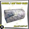 Mouse / Rat Trap. 
