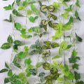 Vine Leaf Decor Fresh Looking Decorative Ivy Green Vine Decor. 